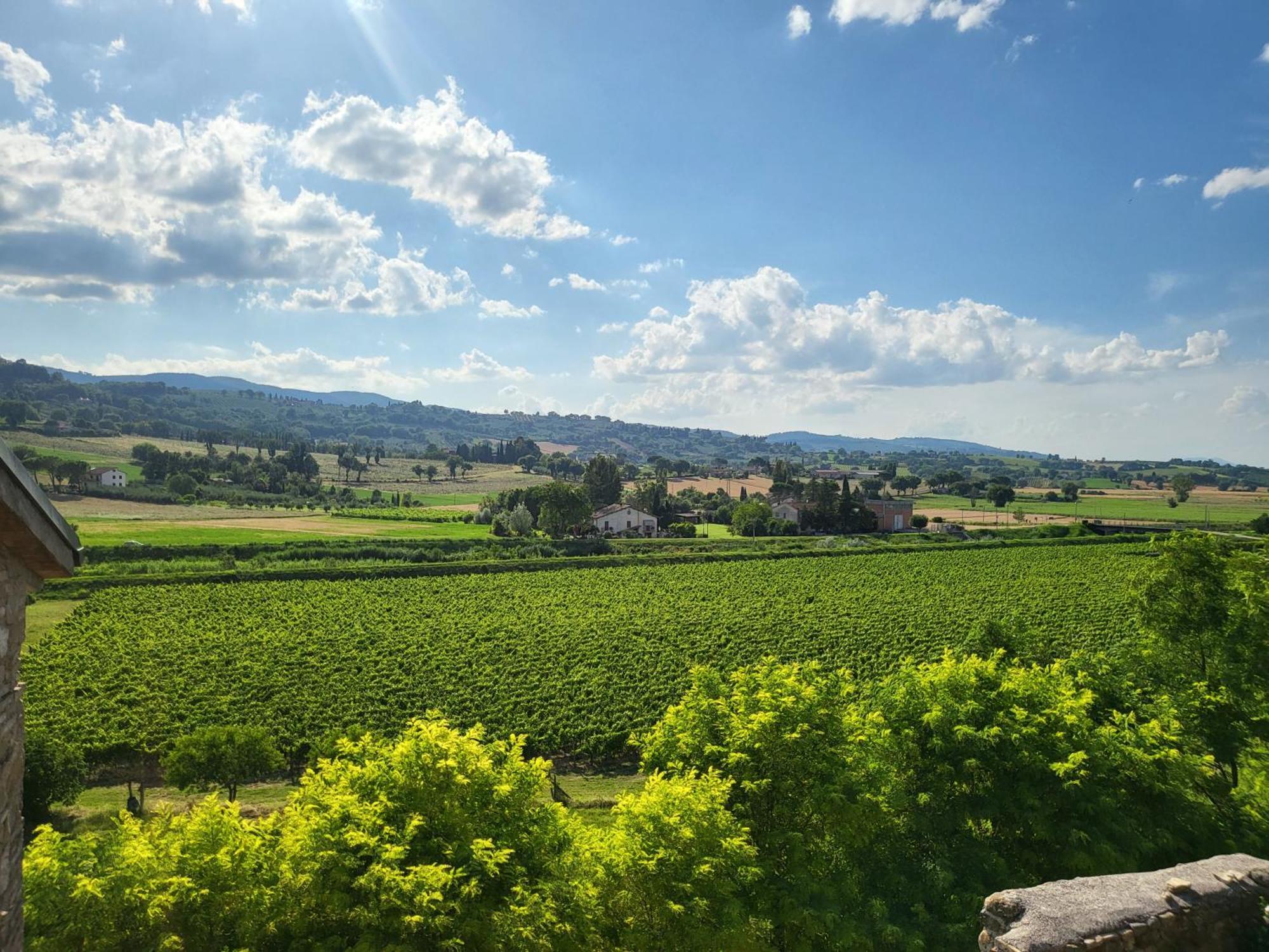 Appartamento Con Camino In Centro Storico Bevagna Buitenkant foto
